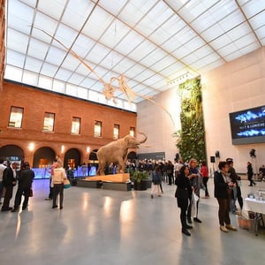 Musée Toulouse