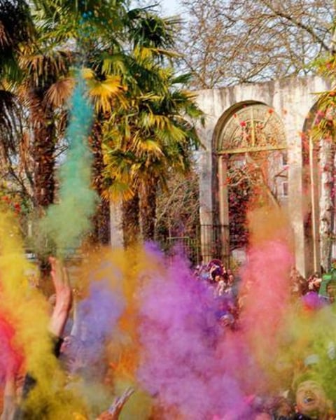 Holi, festival indien des couleurs