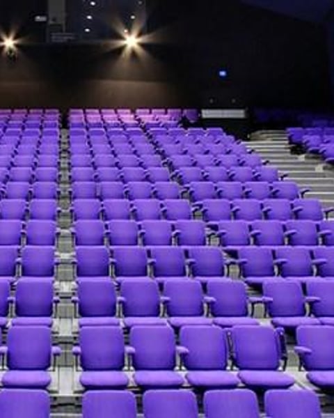 Théâtre Musical de Pibrac