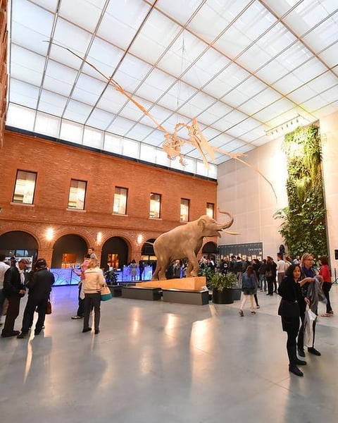 Muséum de Toulouse