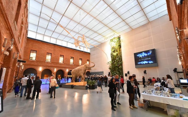 Muséum de Toulouse