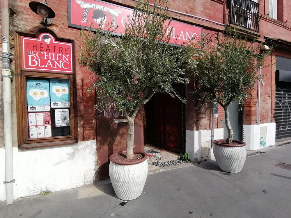 Théâtre du chien blanc 1