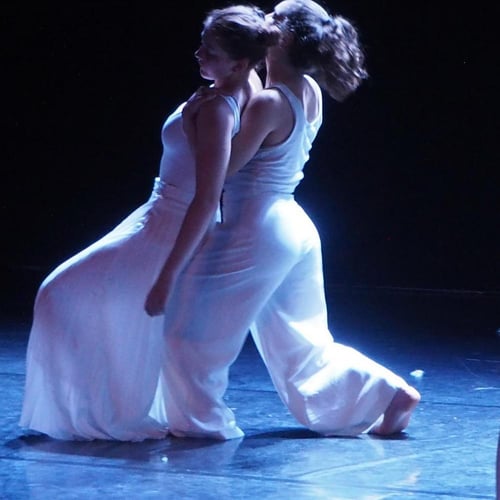 Festival Danse et Solidarités 1