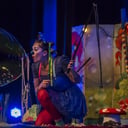 La compagnie l'Envers du Monde