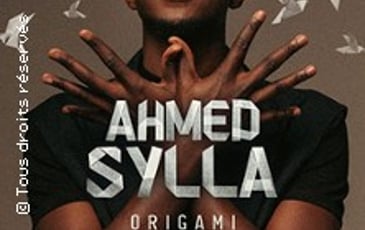Ahmed Sylla, Origami