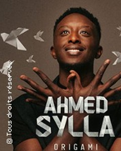 Ahmed Sylla, Origami