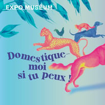 Domestique-moi si tu peux !