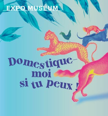 Domestique-moi si tu peux !