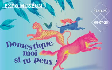 Domestique-moi si tu peux !