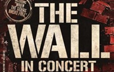 The Wall