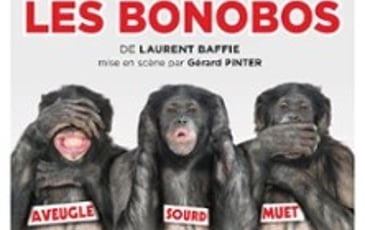 Les Bonobos