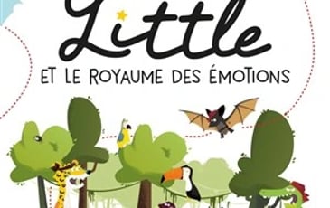 Princesse Little, Princesse Little et le Royaume des Émotions
