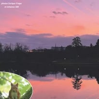 Reynerie Miroir Fête Ses 50 Numéros