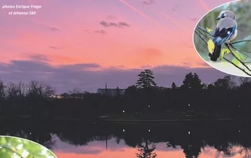 Reynerie Miroir Fête Ses 50 Numéros