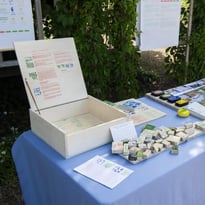 Diplôme National Supérieur d'Expression Plastique 2026