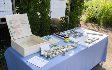 Diplôme National Supérieur d'Expression Plastique 2026
