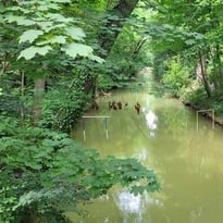 Exposition "La Garonne à nos pieds" à Seilh