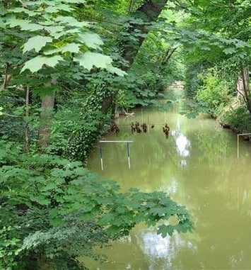Exposition "La Garonne à nos pieds" à Seilh