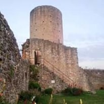 Visites du Château Comtal et son Donjon