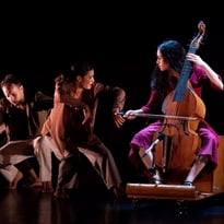 Phénix "Käfig" de Mourad Merzouki
