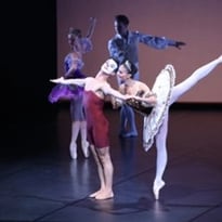 The Dancer(s), Compagnie François Mauduit