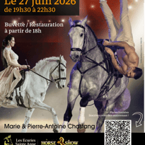 Horse Show
