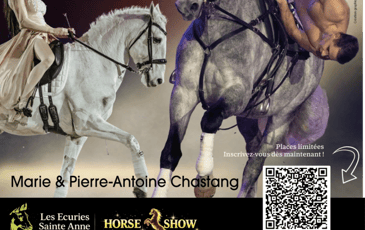 Horse Show