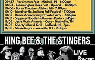 The Stingers