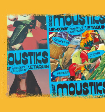 Concerts pour la Soirée de Lancement du Collectif Moustiks