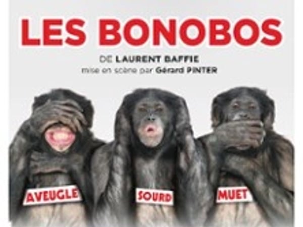 Les Bonobos