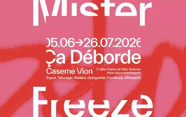 Mister Freeze Ça Déborde