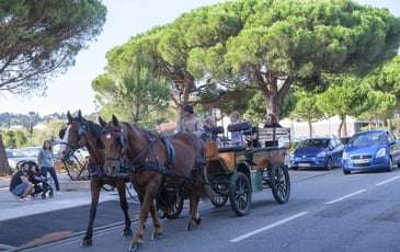 Tour en calèches autour du marché