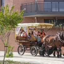 Balade en calèche dans le centre ancien