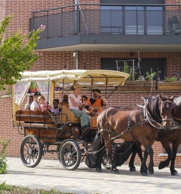 Balade en calèche dans le centre ancien