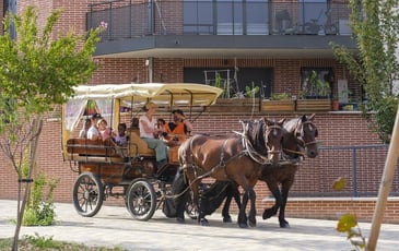Balade en calèche dans le centre ancien