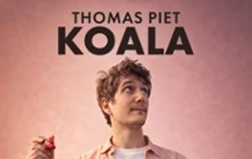 Thomas Piet : Koala