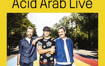 Acid Arab (Live)