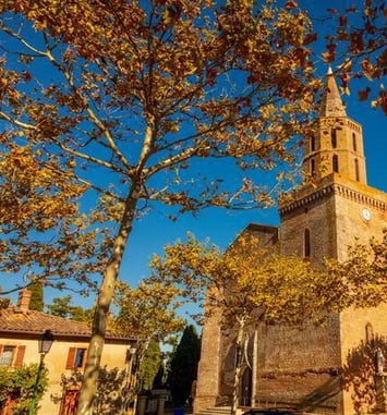 Visite guidée de Bourg-Saint-Bernard