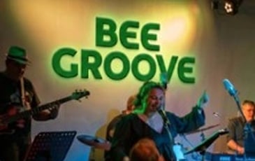 Bee Groove