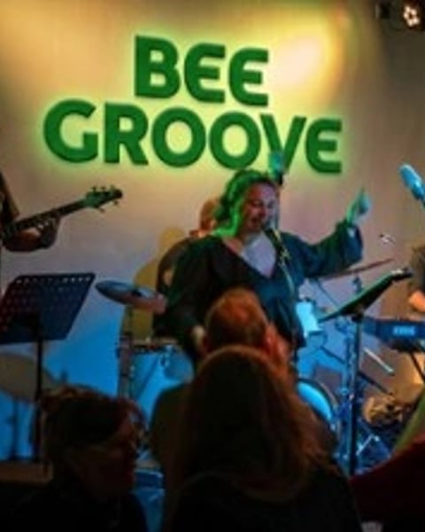 Bee Groove