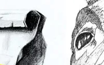 Exposition des élèves du cours de dessin de Céline Lopez