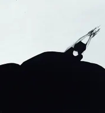 Chema Madoz et Helena Almeida Diseños habitados