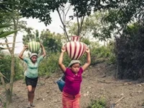 Au Guatemala, un jour les champs refleuriront