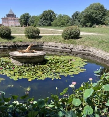 Découverte du château de Larra