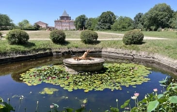 Découverte du château de Larra