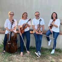 Concert du Toulouse Pink Octopuss