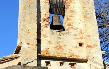 Visites guidées : "Découverte du projet de sauvegarde"