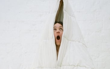 Le Saut du lit