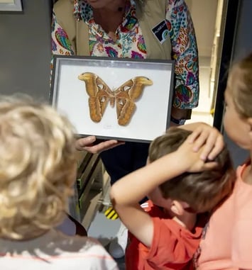 Visite de la Réserve pour les tout-petits