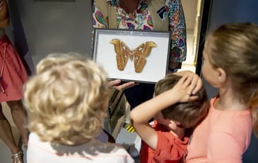 Visite de la Réserve pour les tout-petits